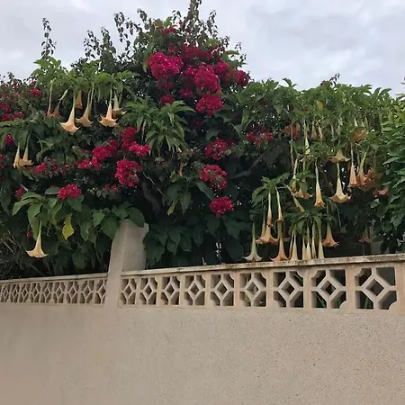Très Bel Moderne Proche De La Mer. Appartement *
